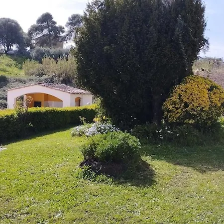 Charming With Pool *