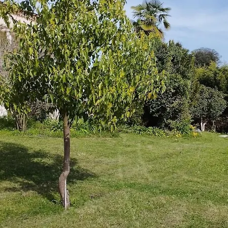 Charming With Pool Villa Bastelicaccia