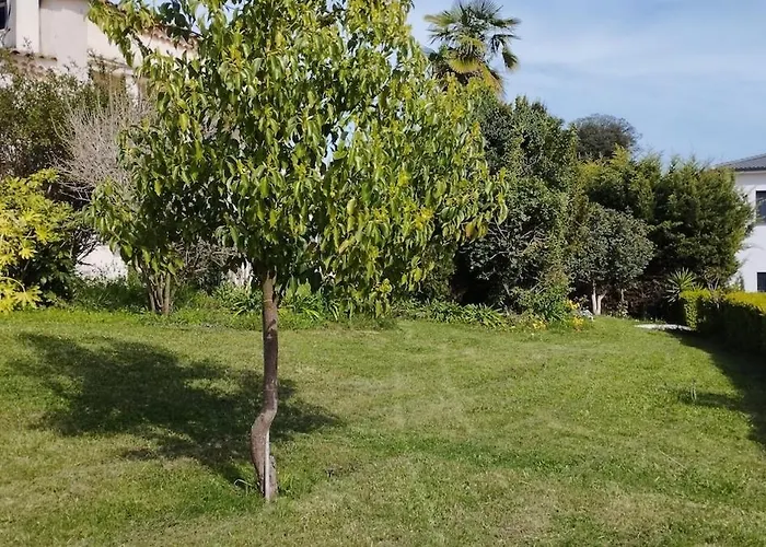 Charming With Pool Villa Bastelicaccia